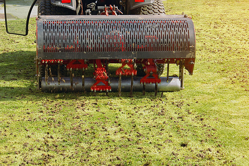 heavy rain after planting grass seed