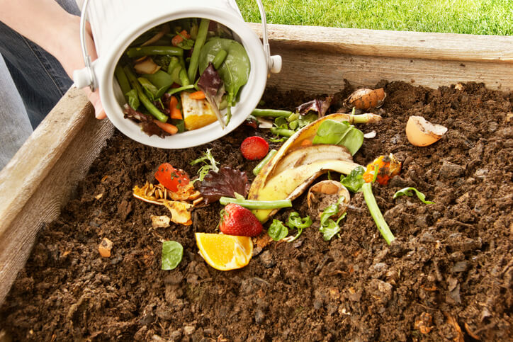 Pouring food scraps into a compost pile.