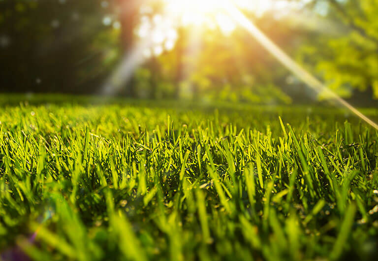 lawn care in salt lake county