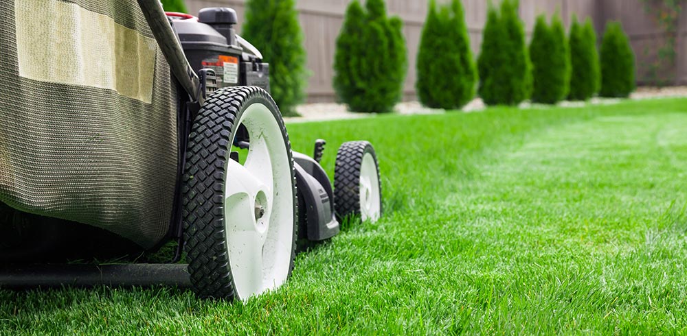 Lawn Mower Cutting Grass